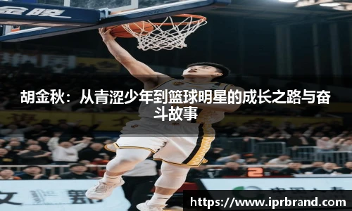 Vsports官网
