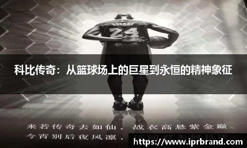 Vsports官网