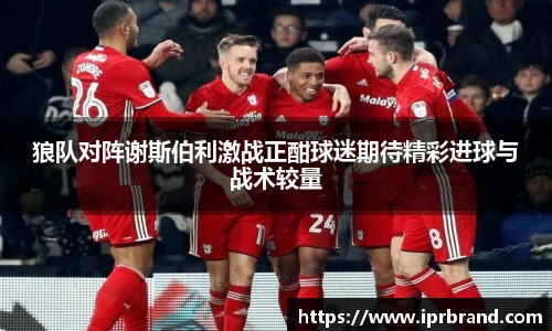 VSport - 胜利因您更精彩